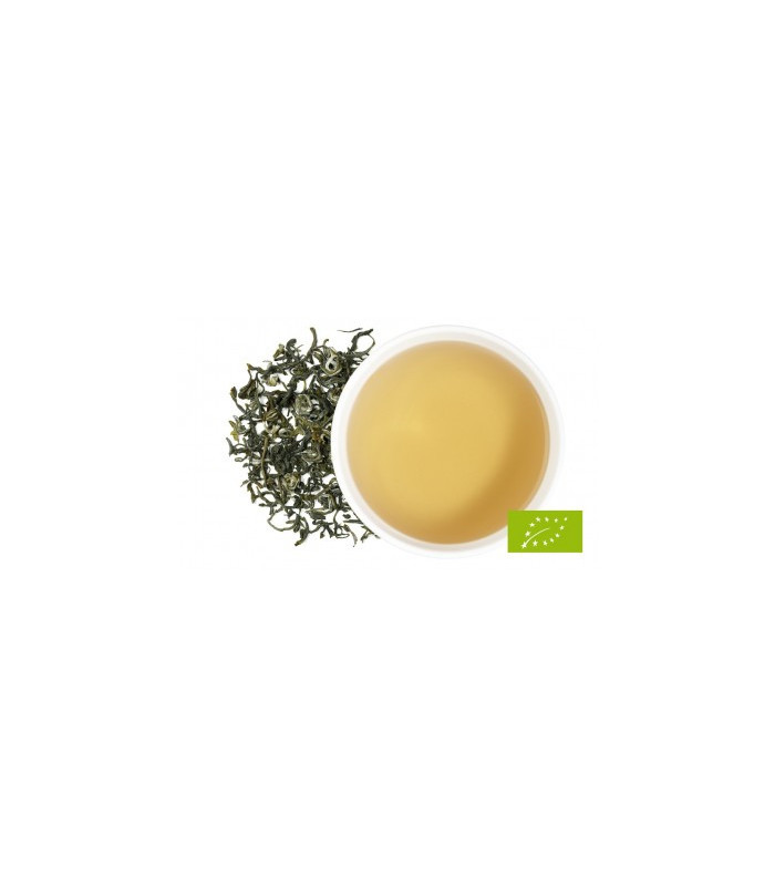 Zelený čaj s ovocem a citrusem - MAMBO MANGO
